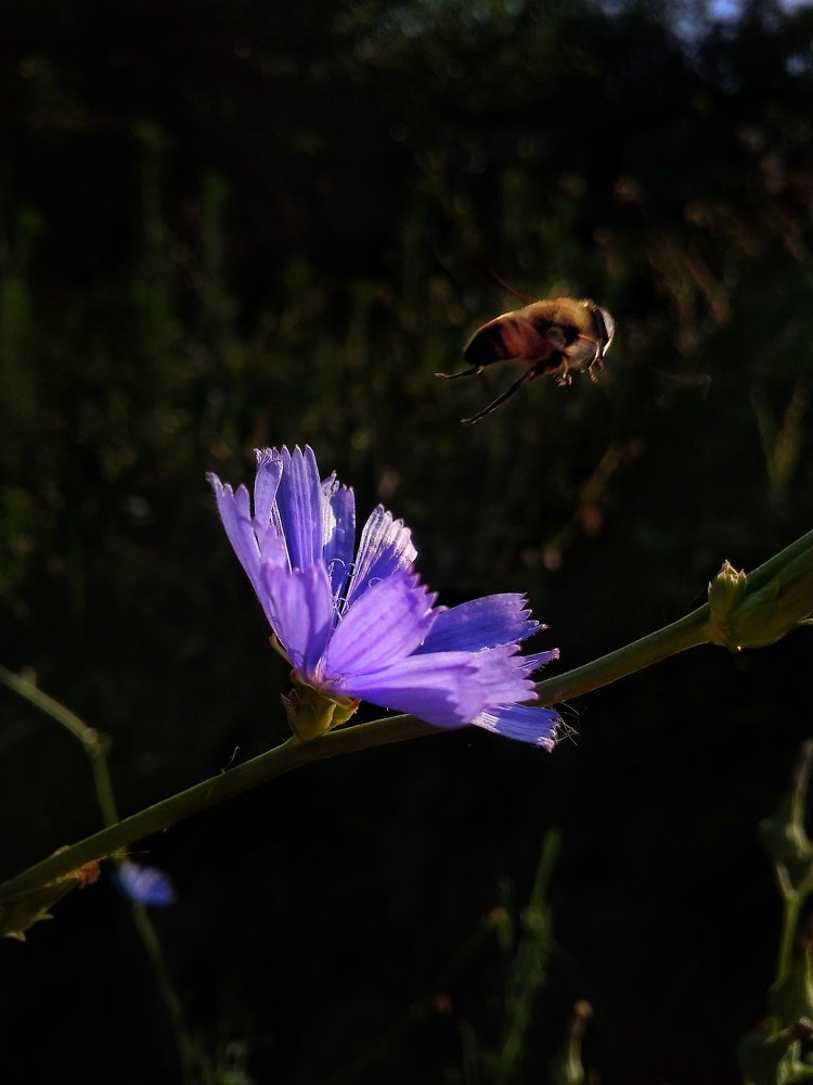 Photograph by Камила Рахматова