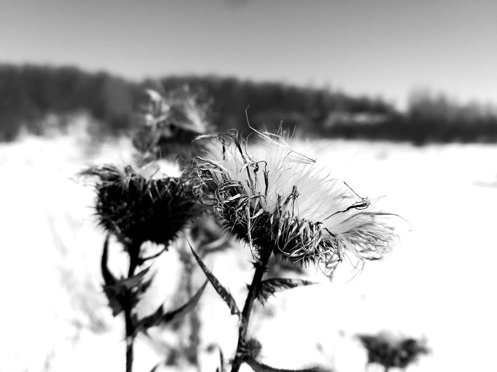 Photograph by Юлия