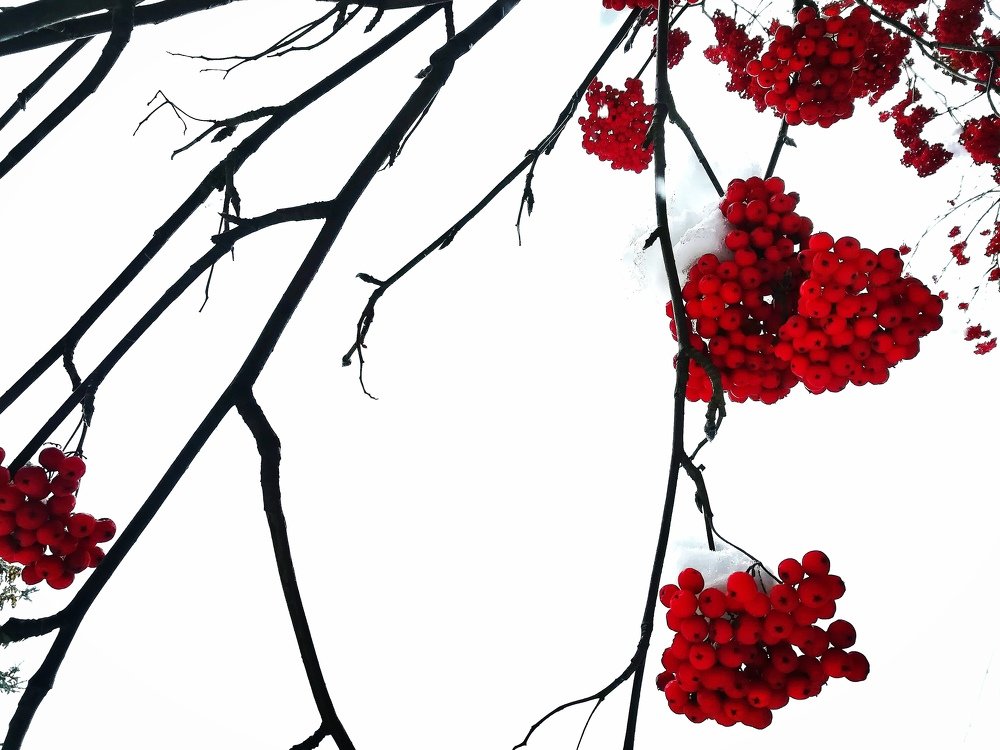 Photograph by Юлия