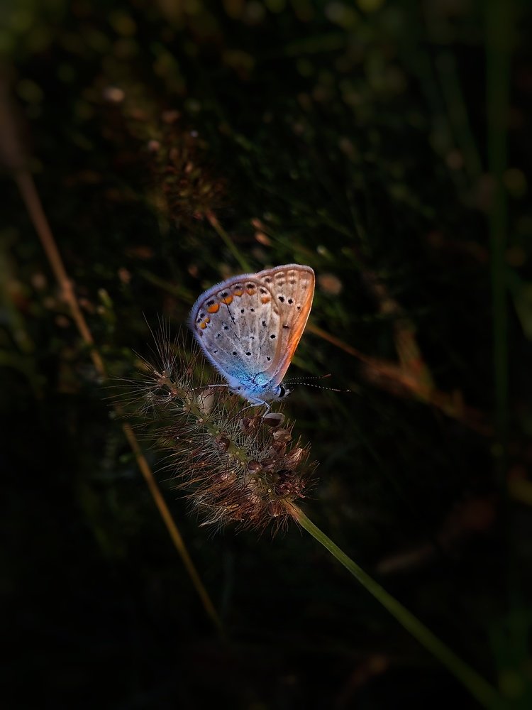 Photograph by Камила Рахматова