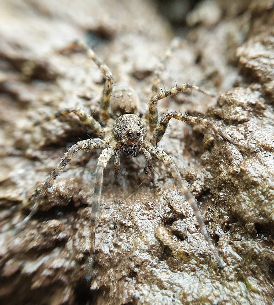 Фотография автора Vikram Trivedi