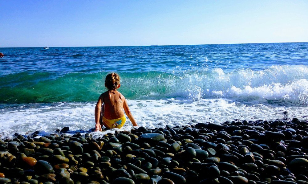 Photo #3539028