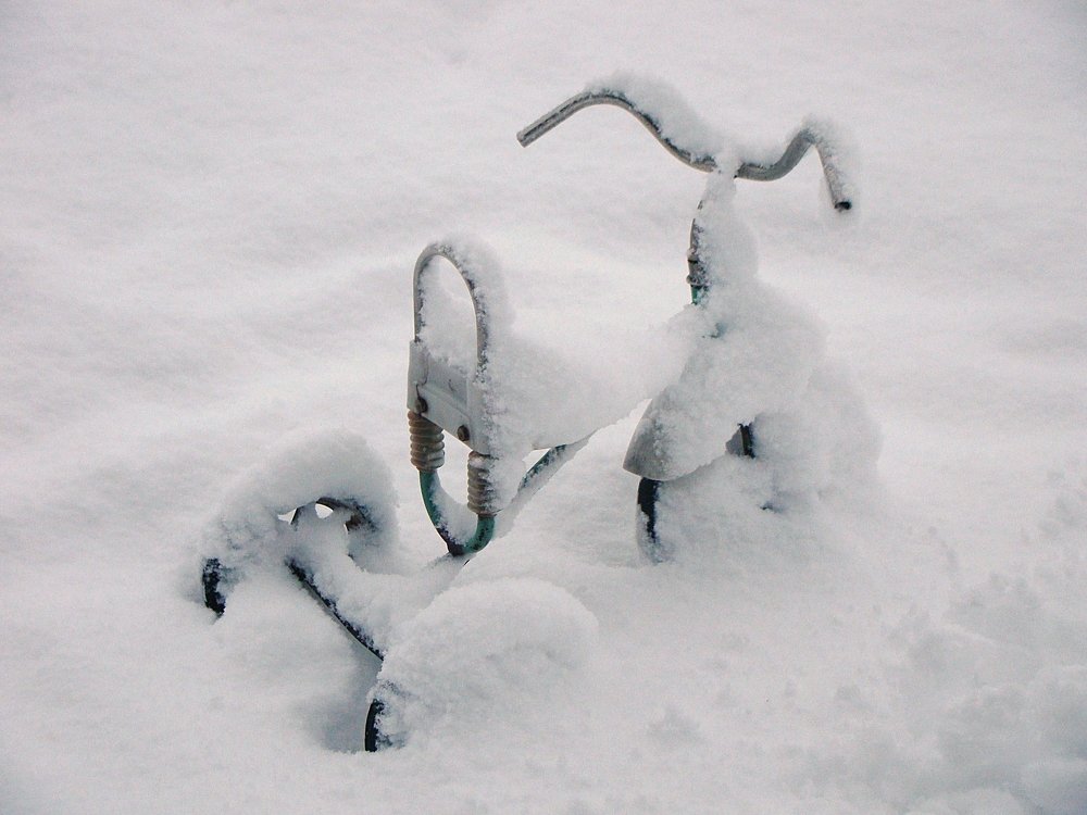 Photograph by Александр Велигура