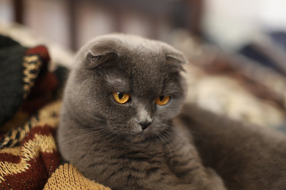 Photograph by Оксана Нечаева