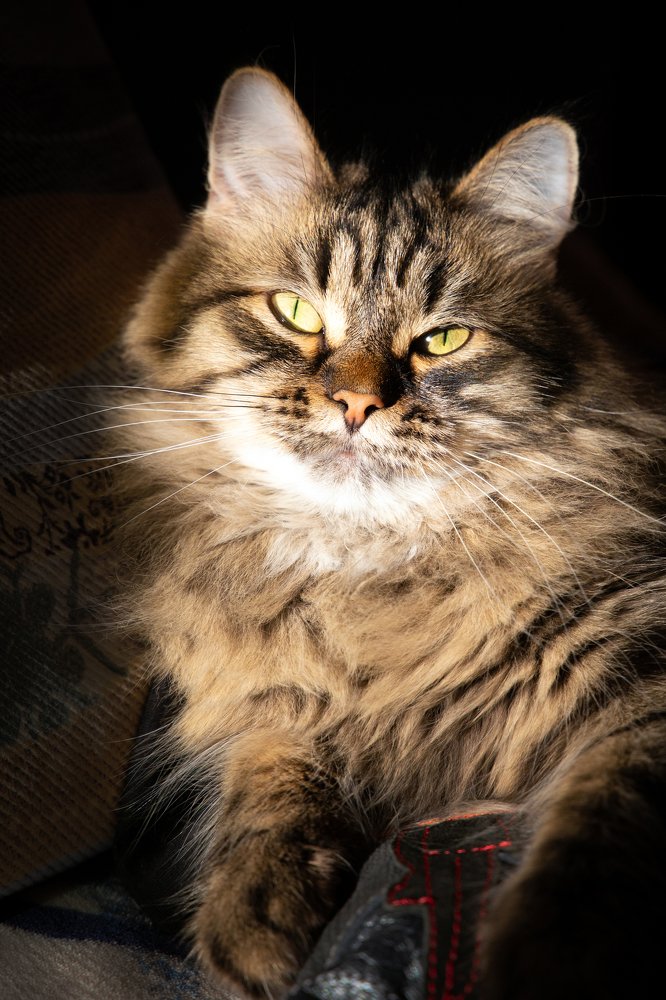 Photograph by Вера Лазарева