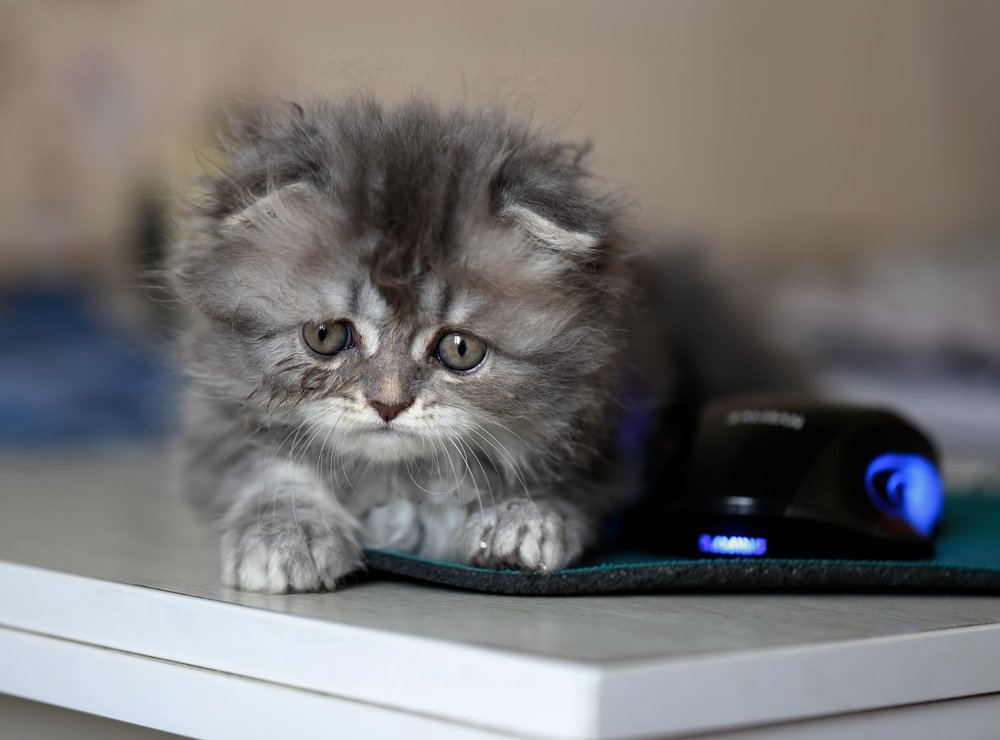 Photograph by Евгений Паршуков