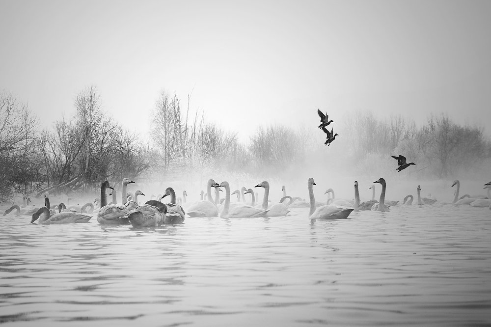 Несколько минут до рассвета...