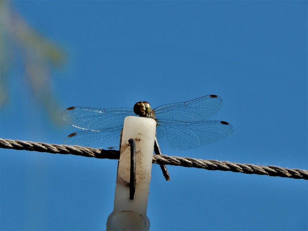 Photograph by Ирина Самойленко