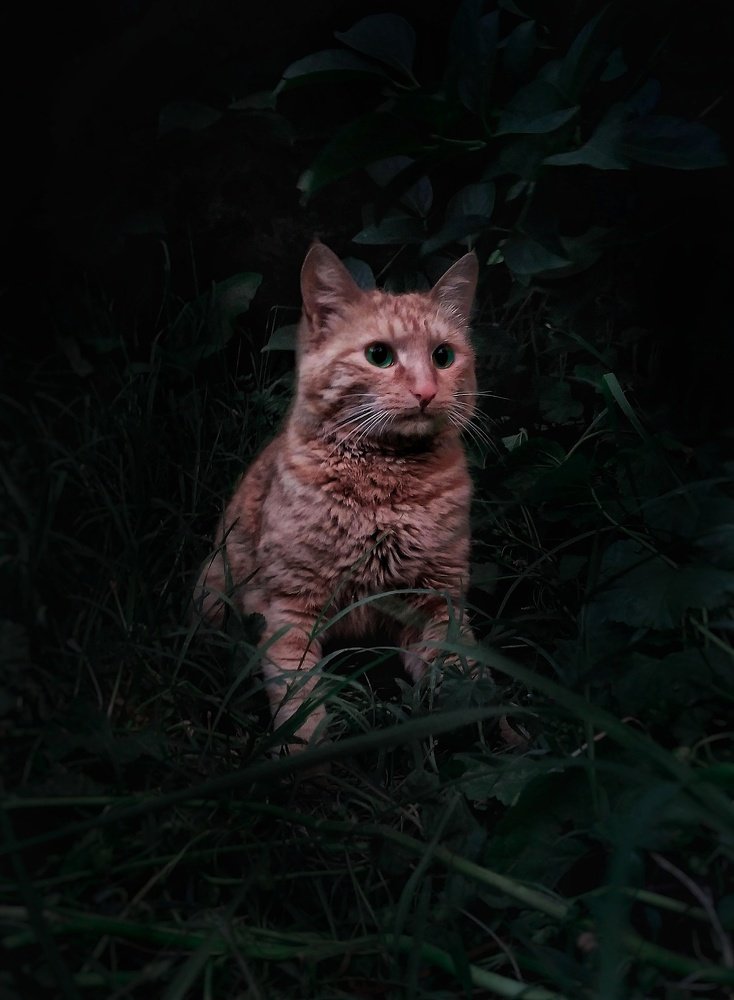 Photograph by Камила Рахматова