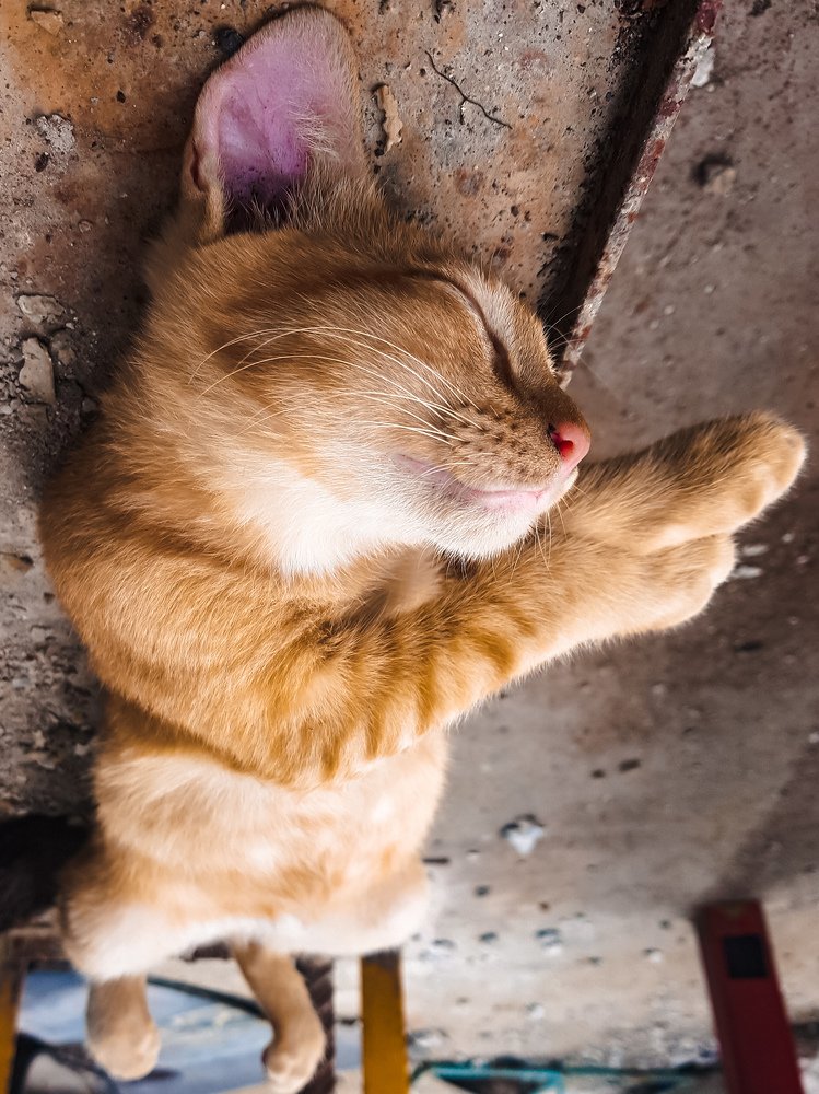 Photograph by Muhammad farid Sinal zainal