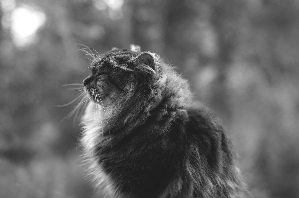 Photograph by Валерия