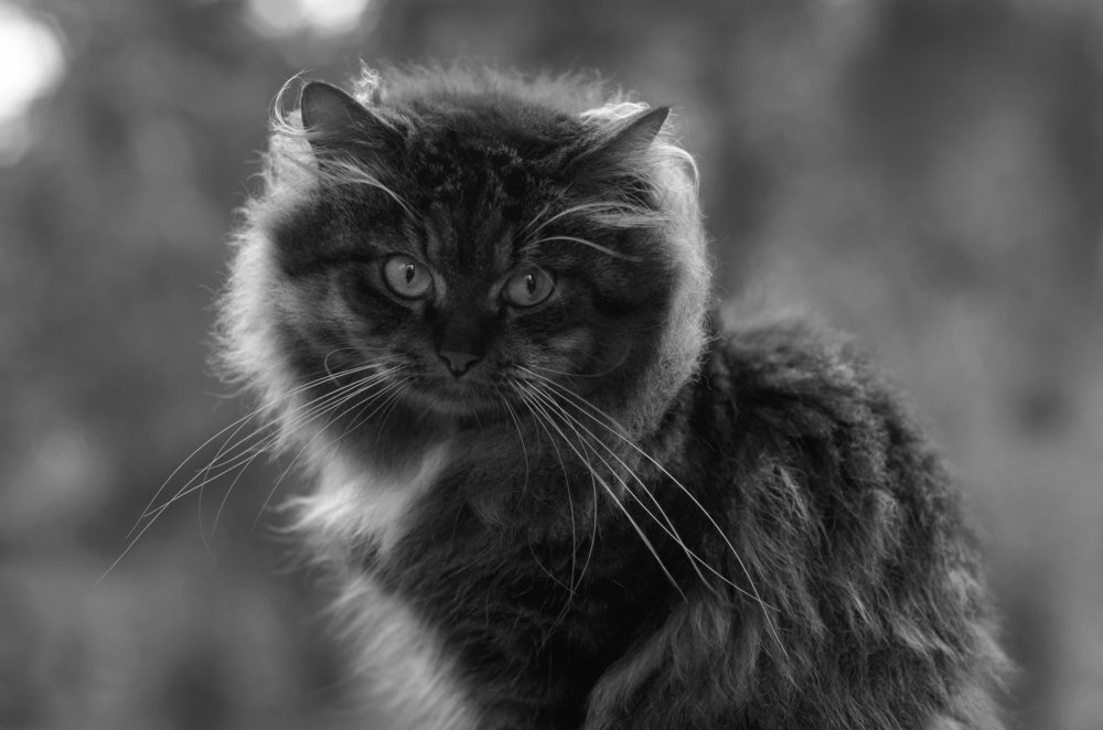 Photograph by Валерия
