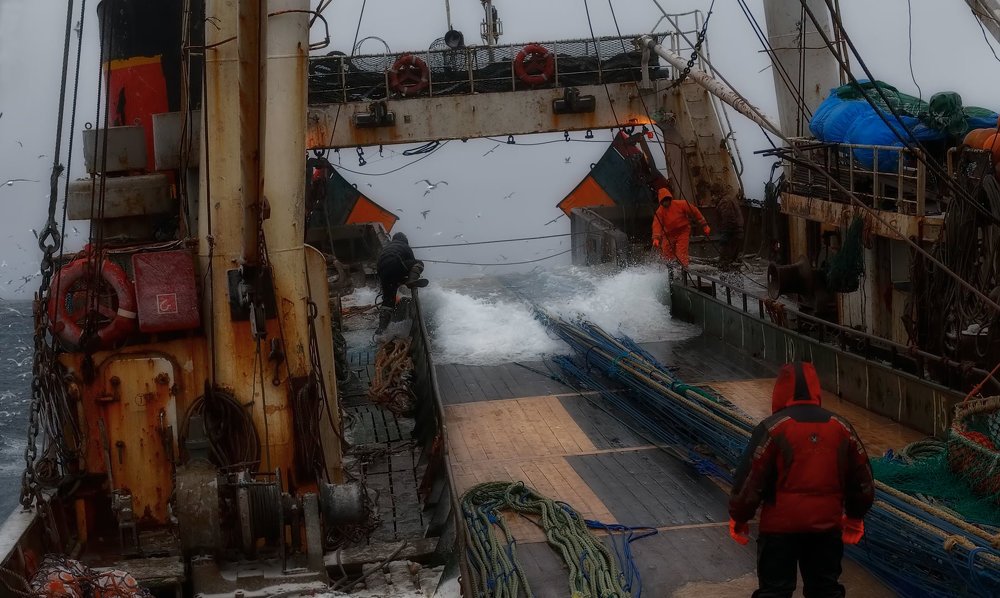 Photograph by Евгений Паршуков