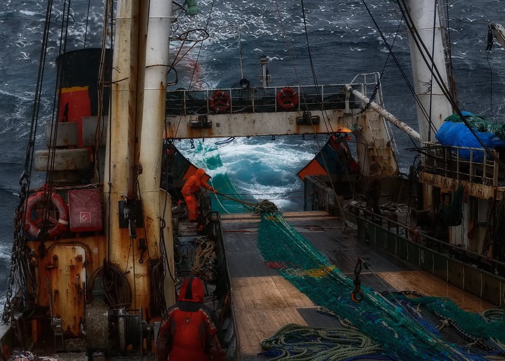 Photograph by Евгений Паршуков