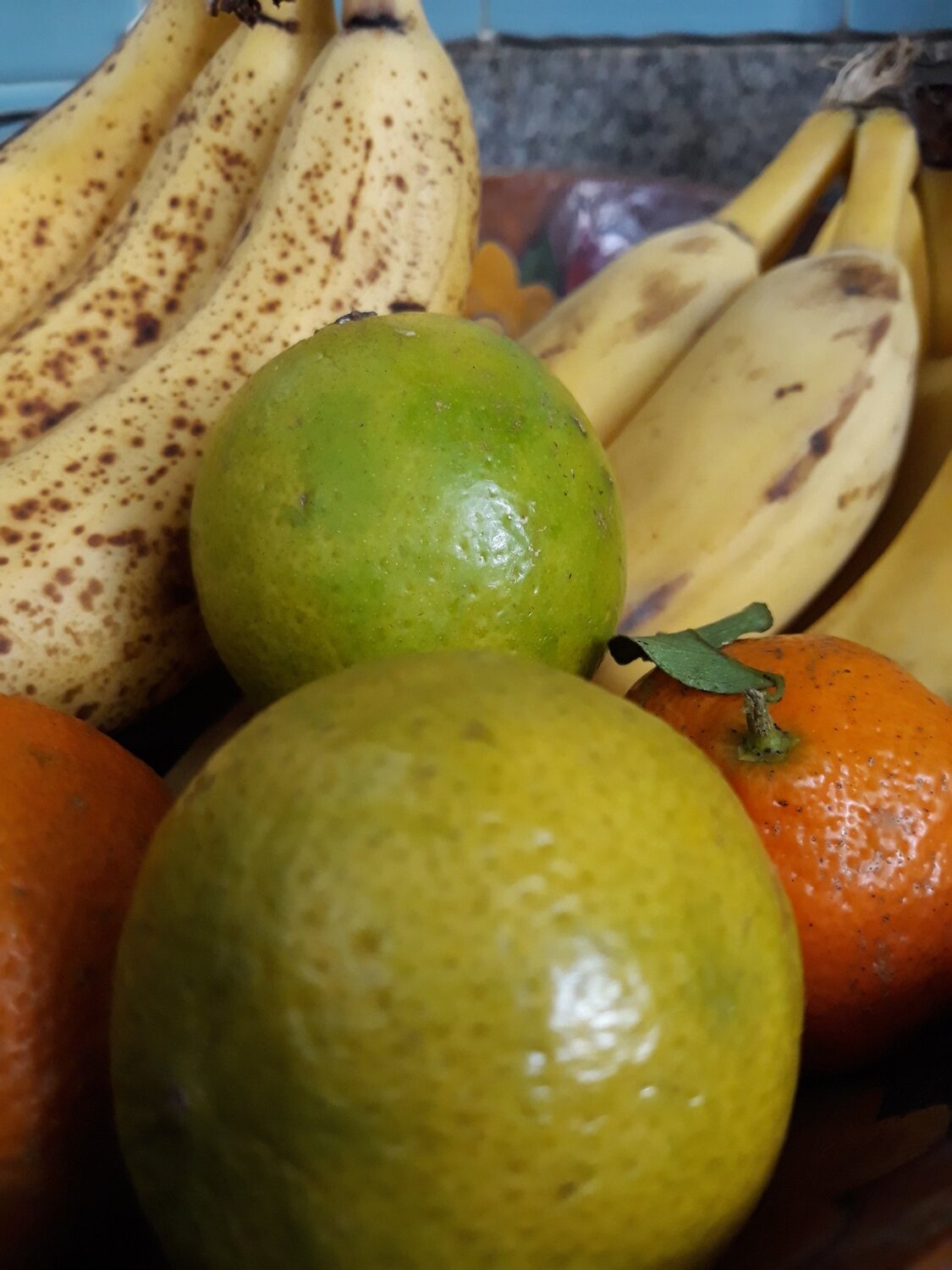 Photo #3539229