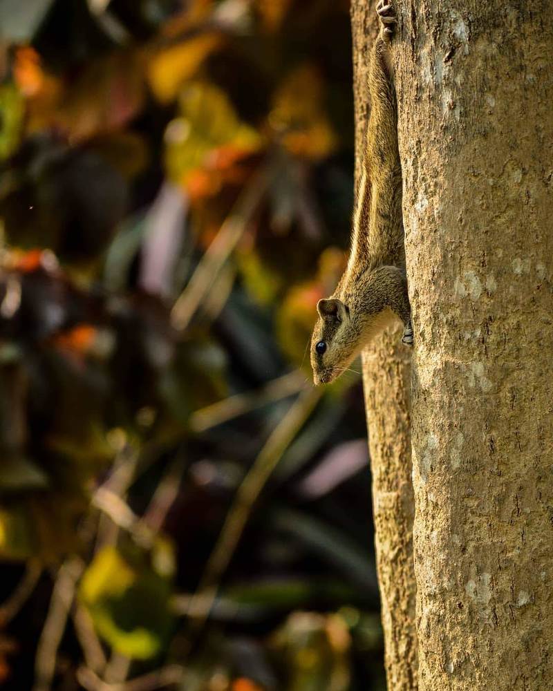 Photograph by Karthik Rajan