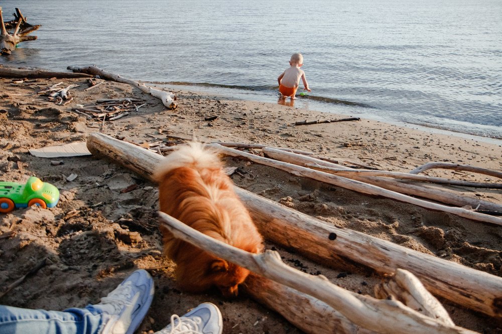 Photograph by Маргарита Фирсова
