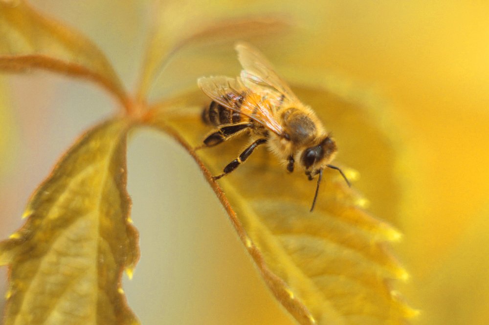 Photograph by Сергей Бережной