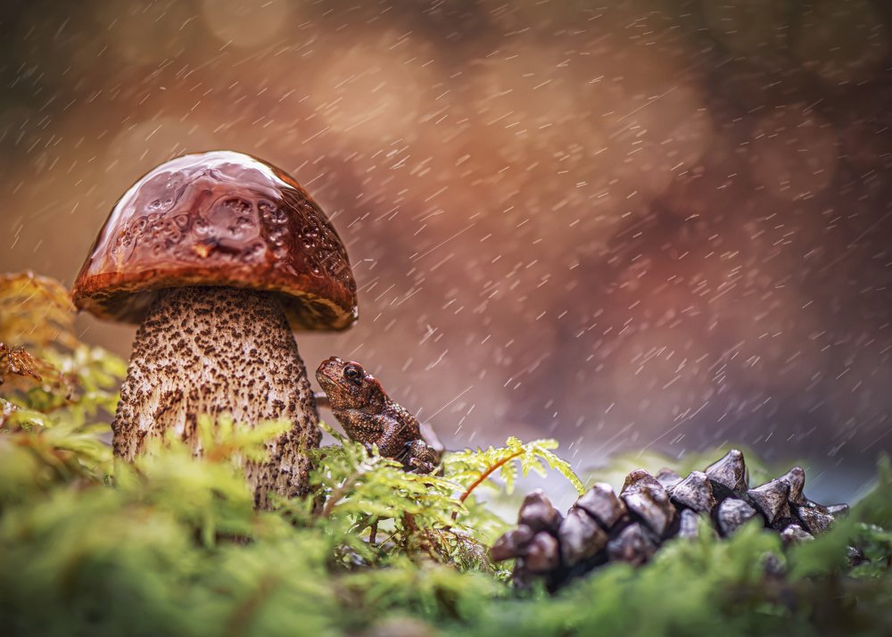 Маловат зонтик