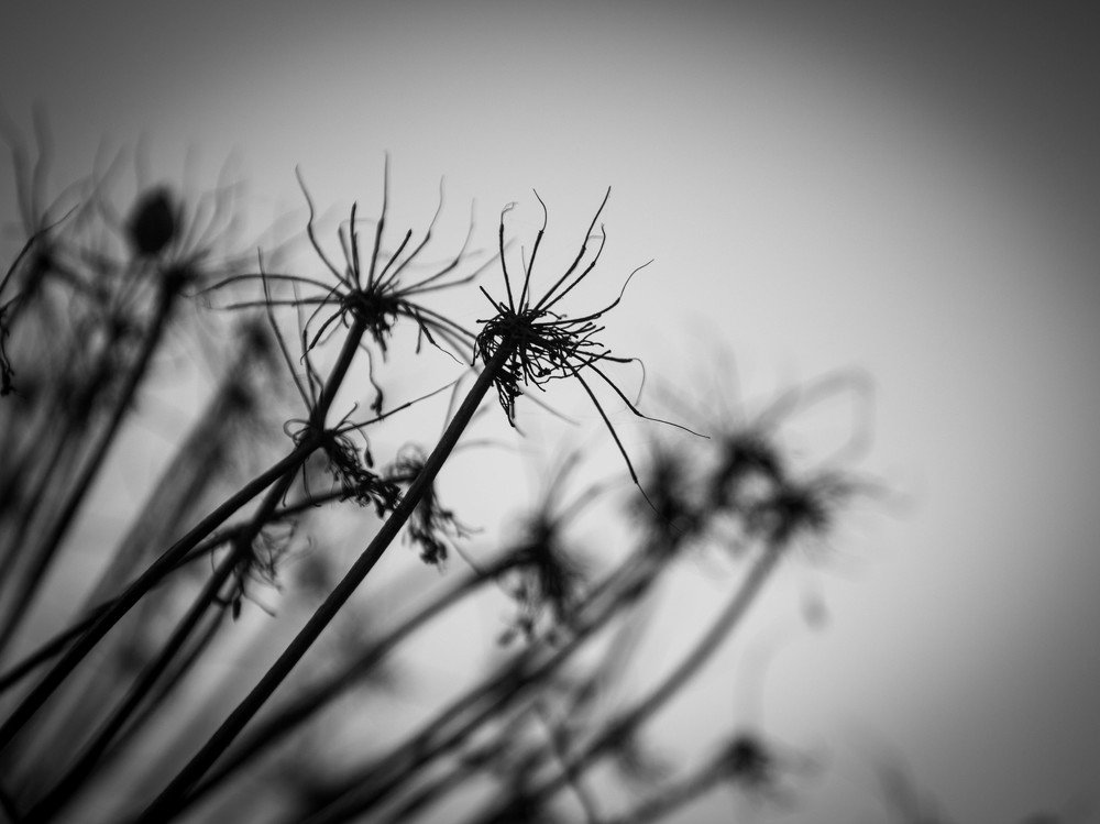 Photograph by Александр Машкарин