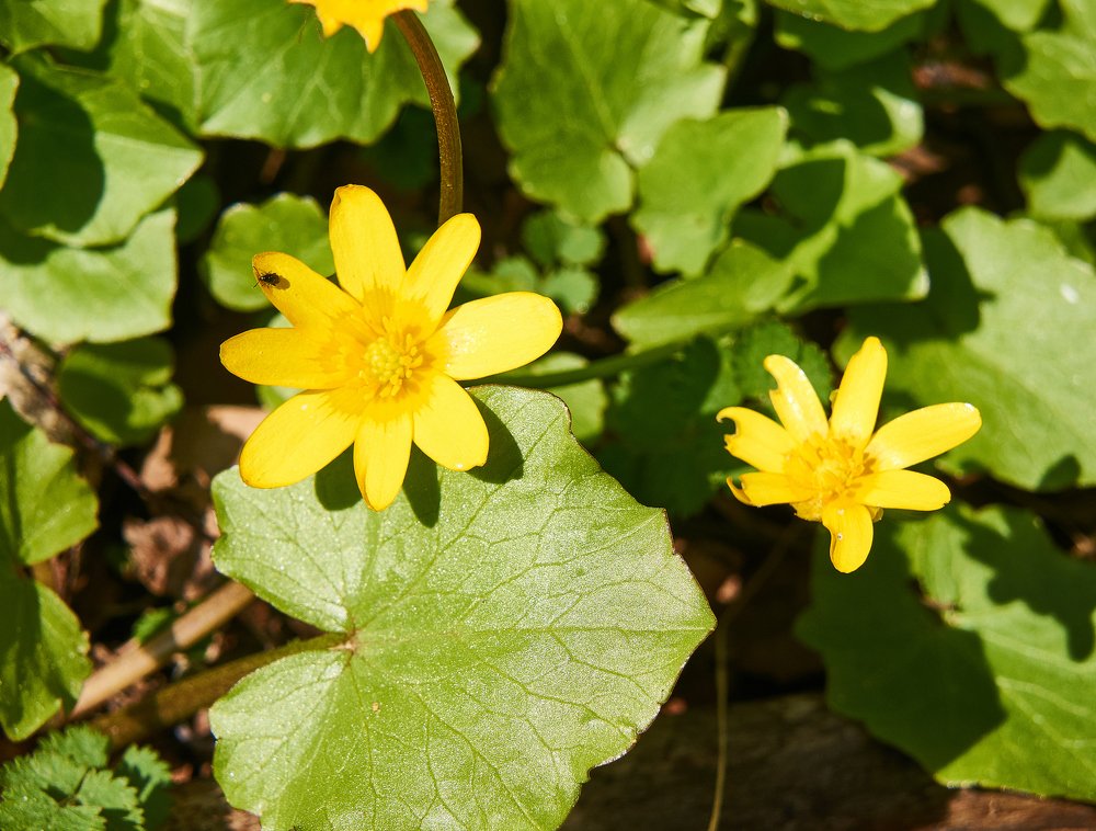 Photograph by Виктор Пономарёв