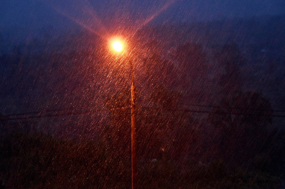 Photograph by Виктор Пономарёв