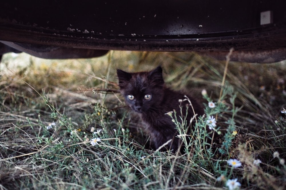 Photograph by Светлана Безлепкина