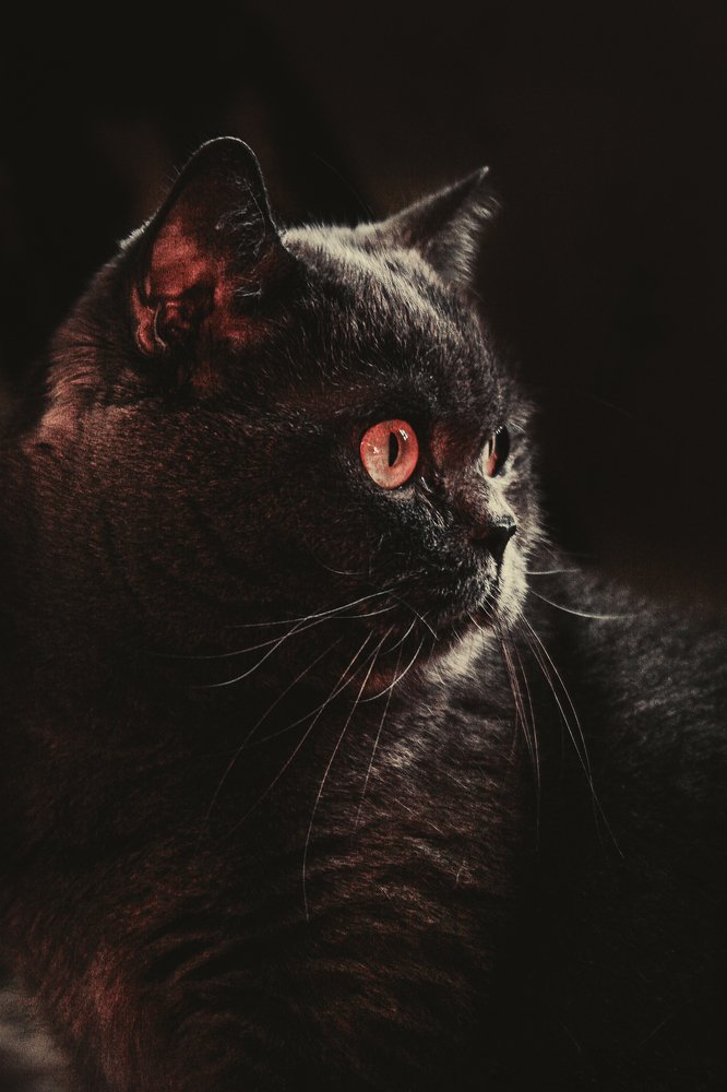 Photograph by Елена Горохова