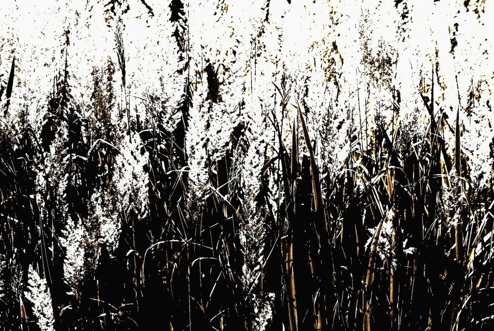 Photograph by Jaroslav Sameš