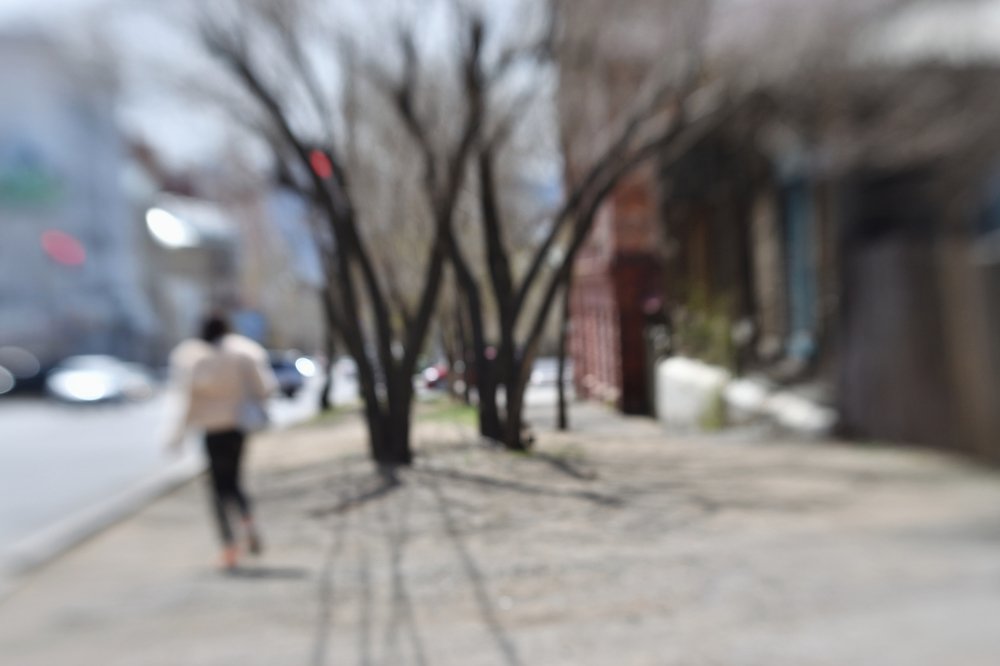 Photograph by Tatyana