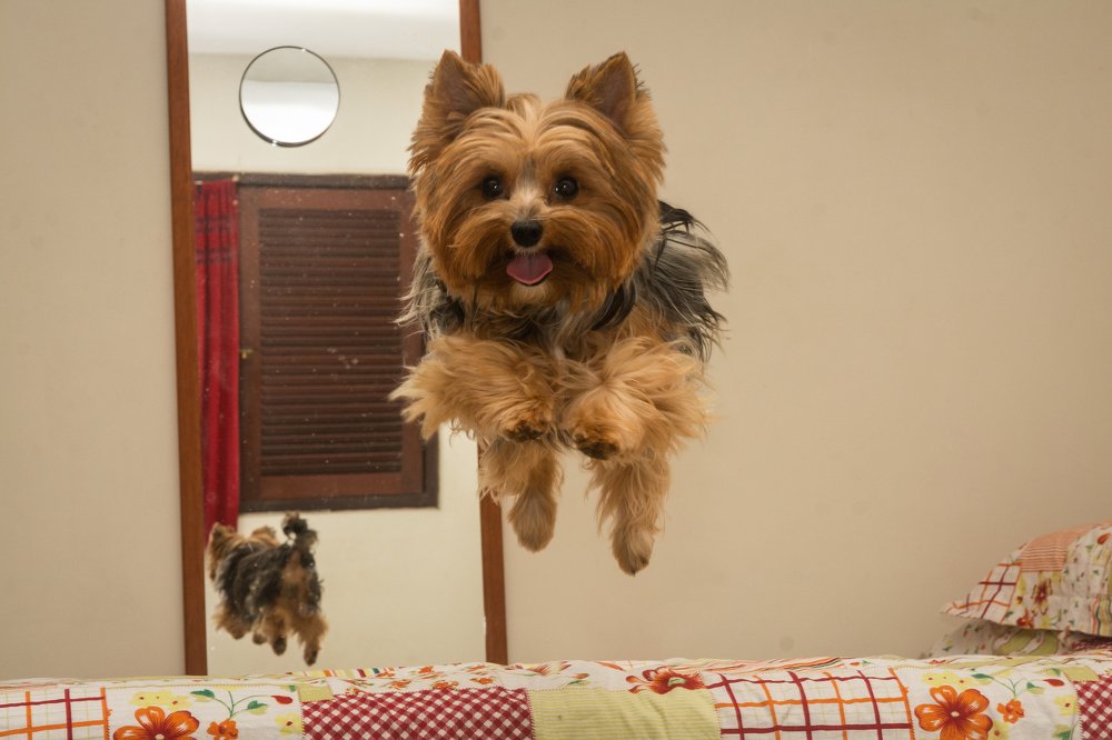 Photograph by Massimo Chiozzi