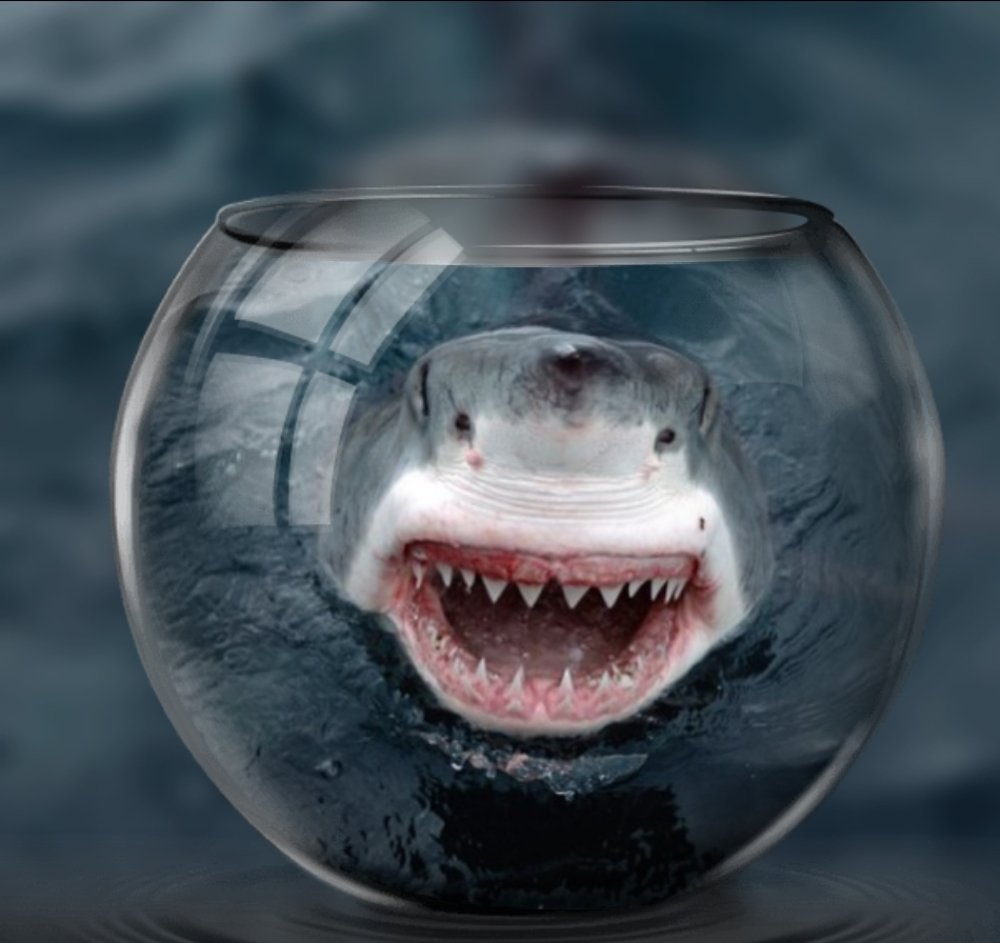 Photograph by Mojca Rebol