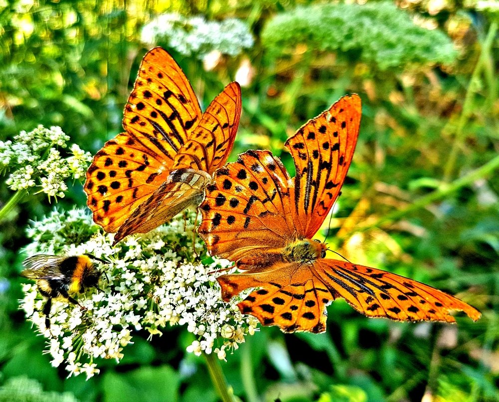 Photograph by Mojca Rebol