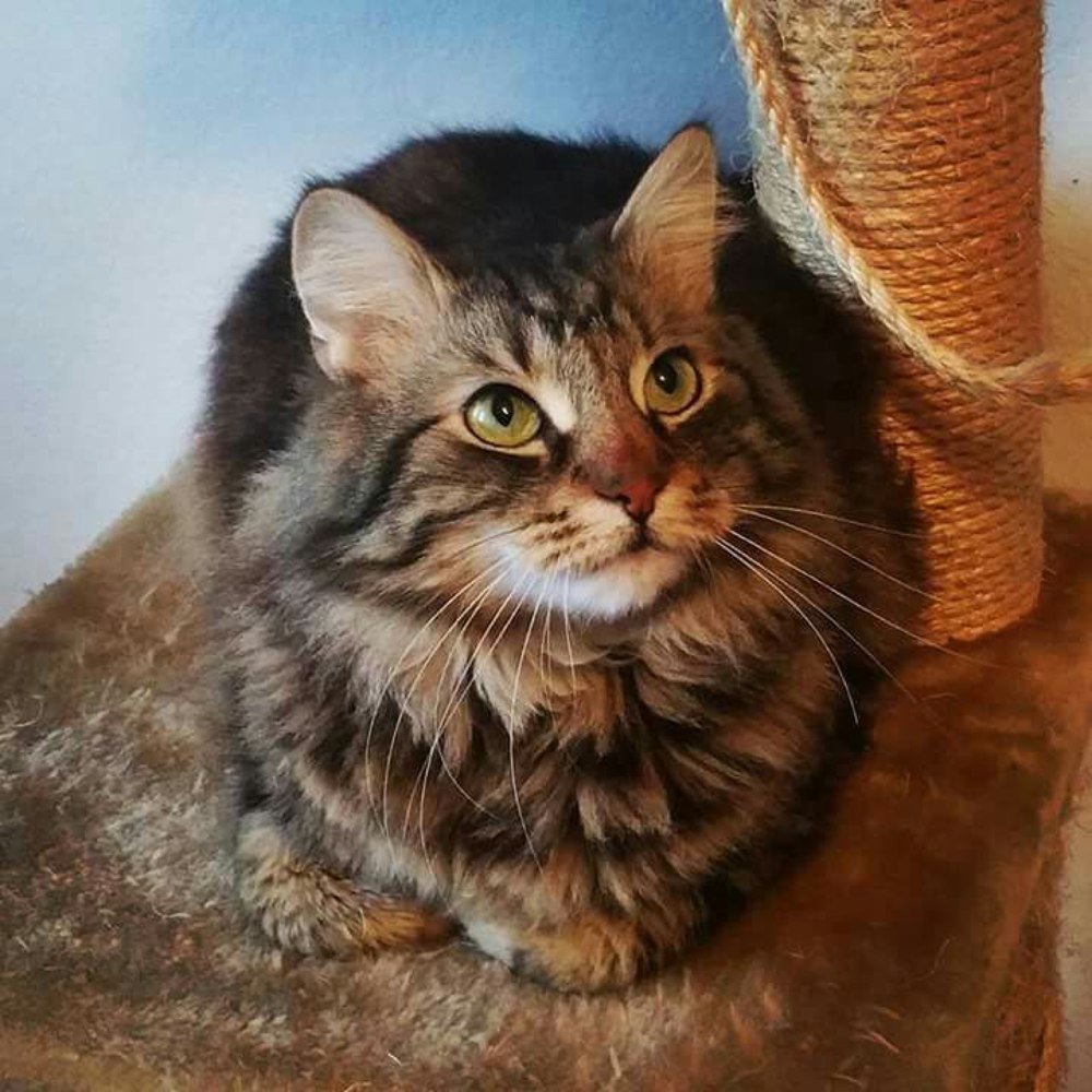 Photograph by Mojca Rebol