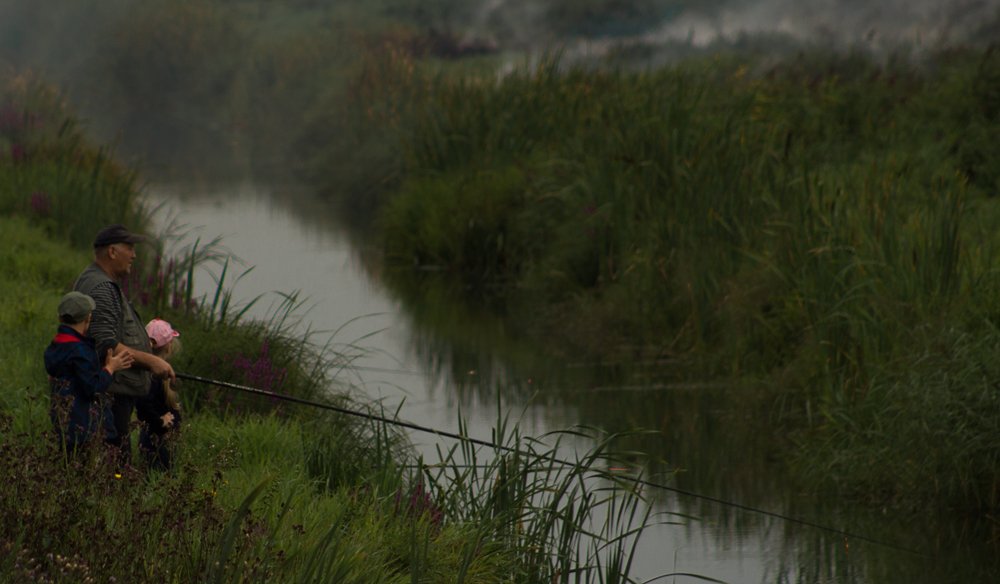 Photograph by Галина Егорова