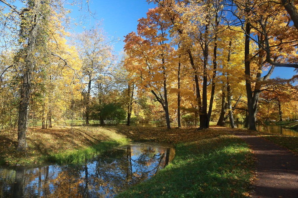 Опрокинутая красота.