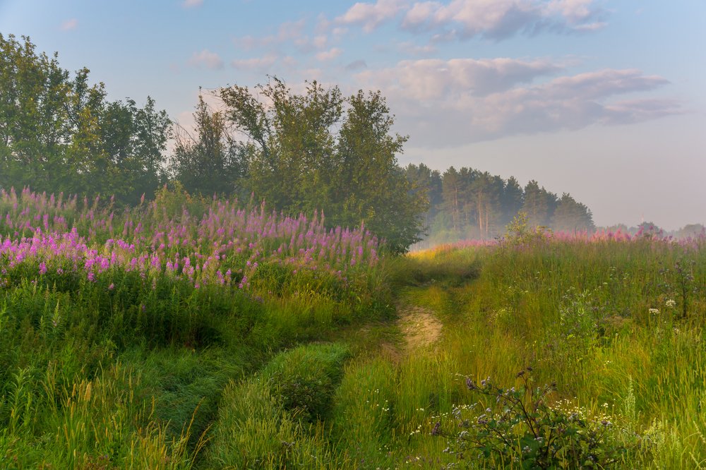 Photograph by Жданов Дмитрий