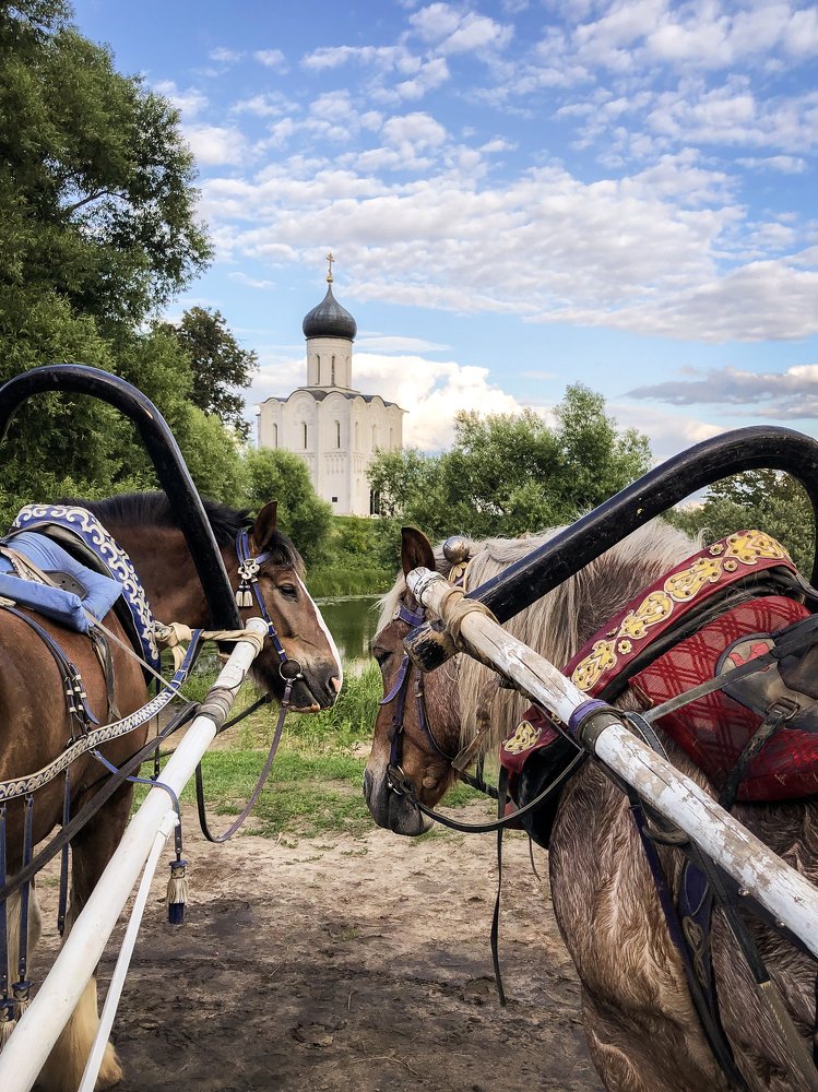 Photograph by Елена Пестрикова