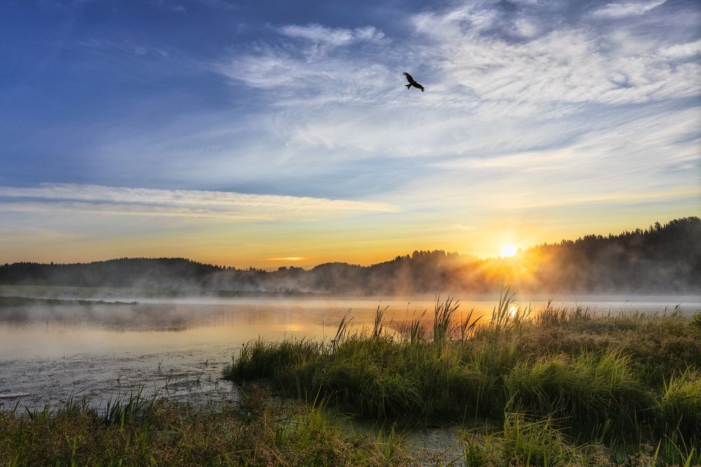 Photograph by Вадим Смирнов