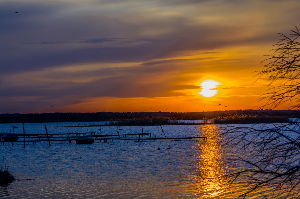 Photograph by Шутов Владимир