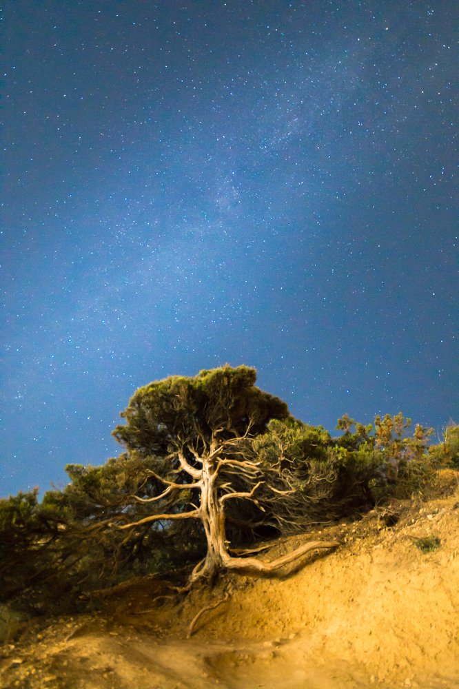 Photograph by Жданов Дмитрий