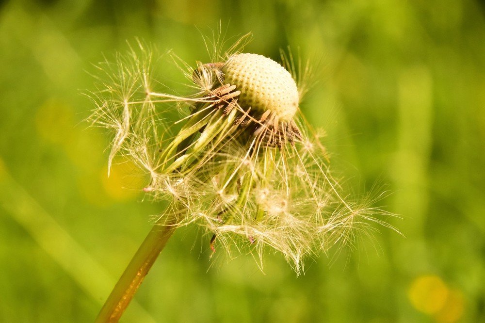 Photograph by Александр