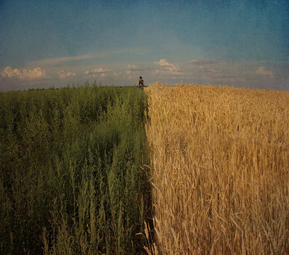 Photograph by Ирина Гайворонская