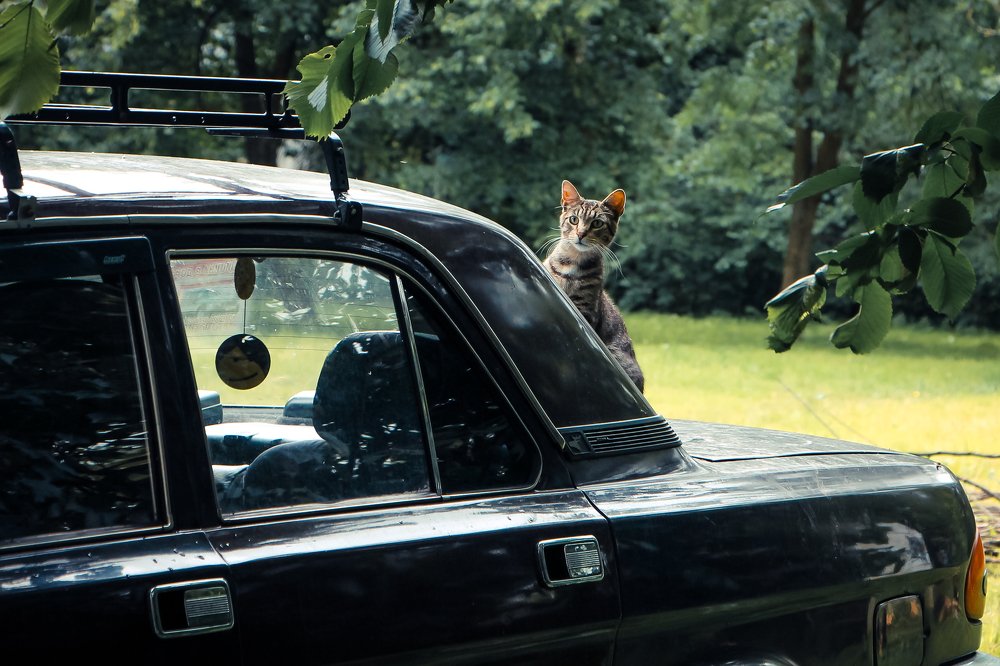 Я слежу за тобой