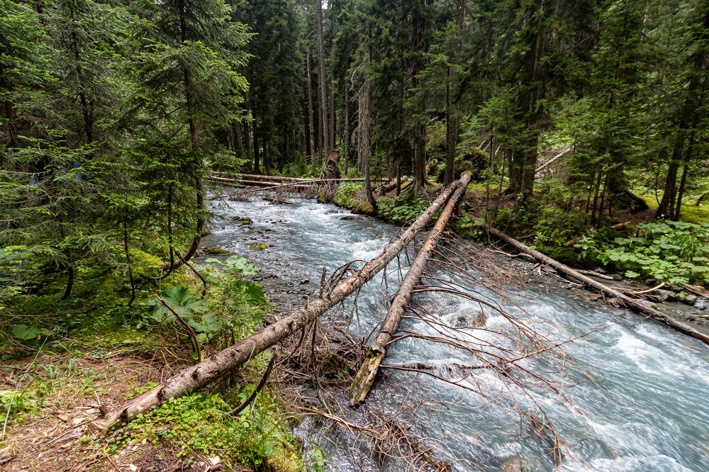 Photograph by Александр Пиленгас