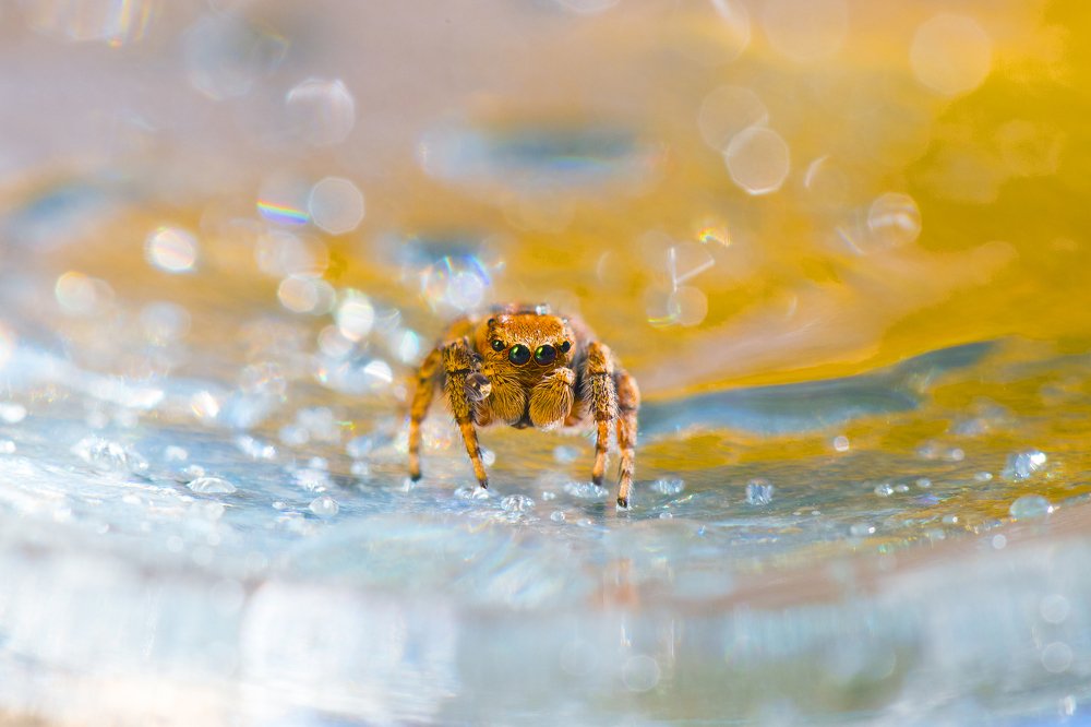 Photograph by Наталья Санталова