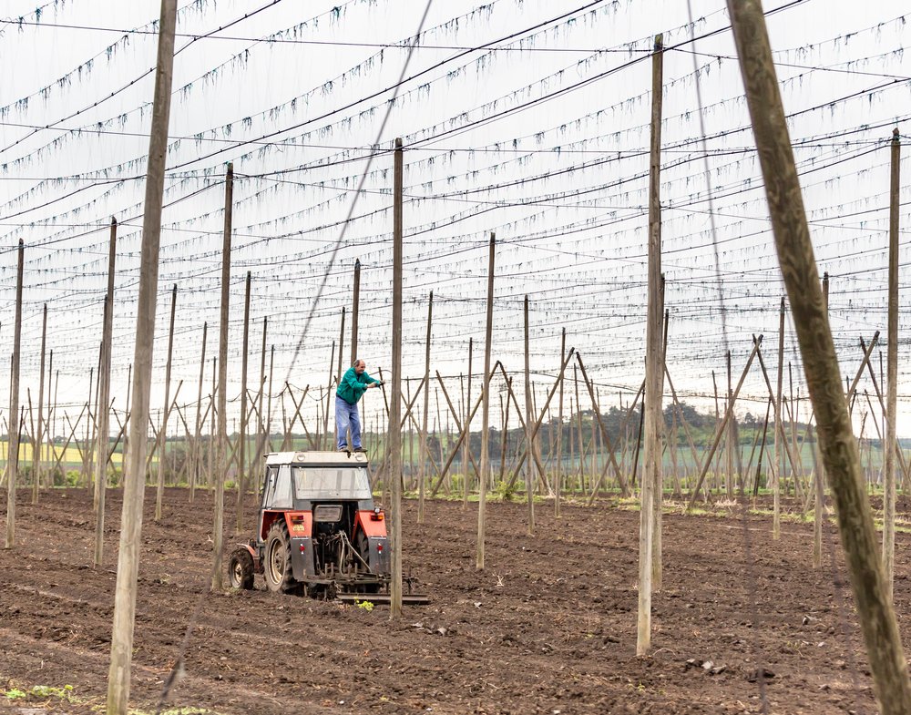 Хмельные работы