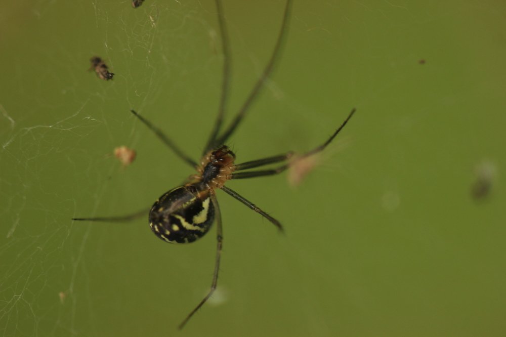 Photograph by Владимир Ясюкевич