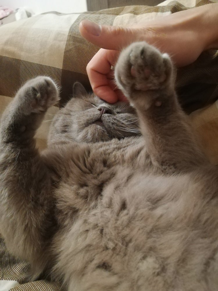 Photograph by Елена