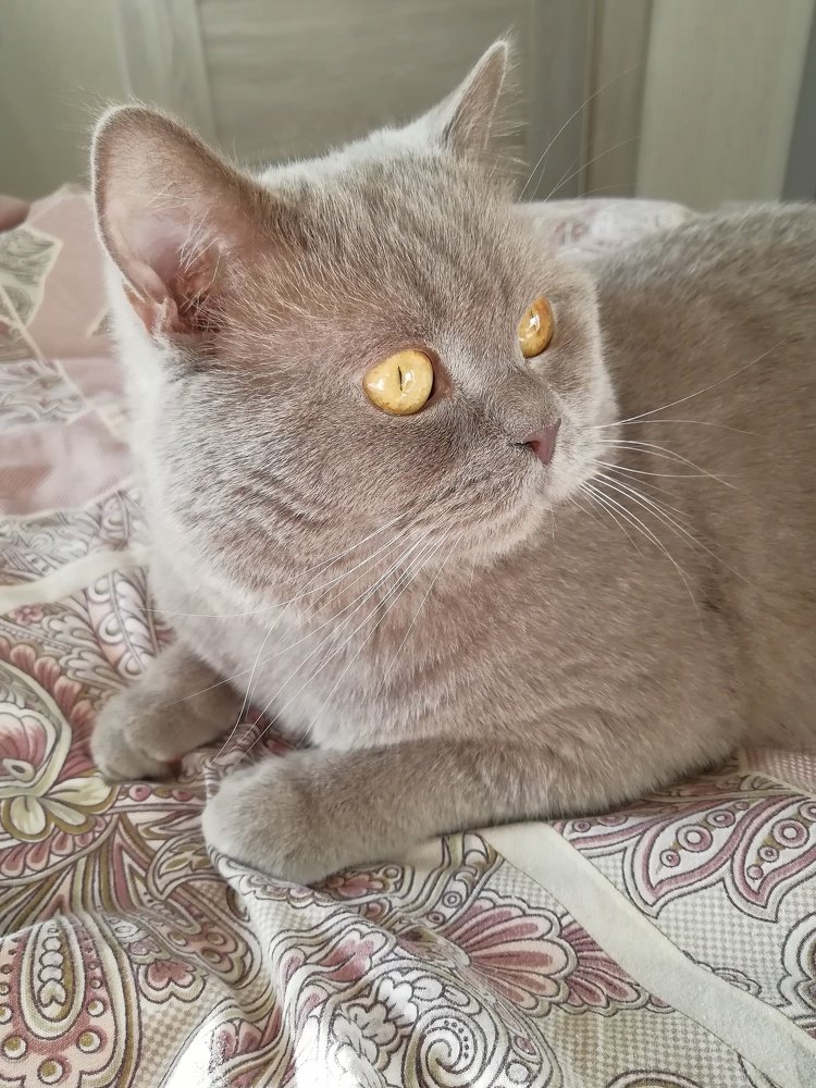 Photograph by Елена